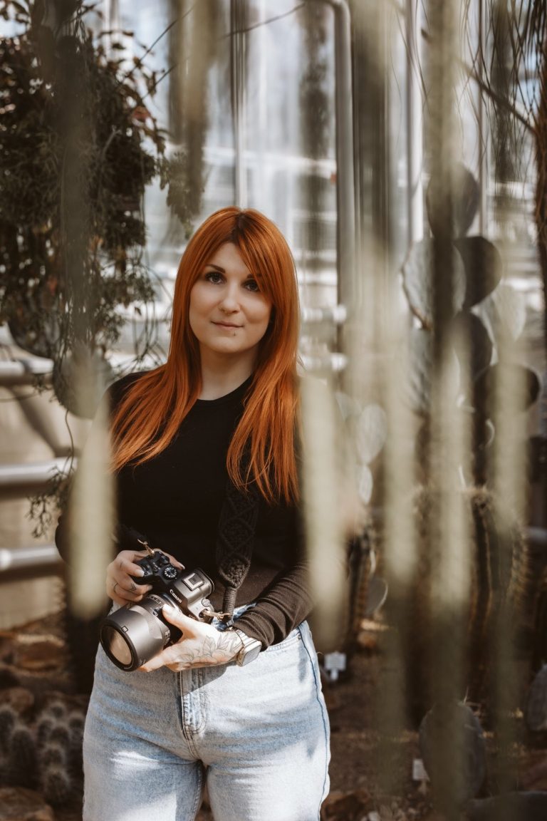 Goldkrönchen Fotografie Fotografin Braunschweig 