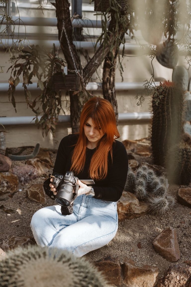 Goldkrönchen Fotografie Fotografin Braunschweig 