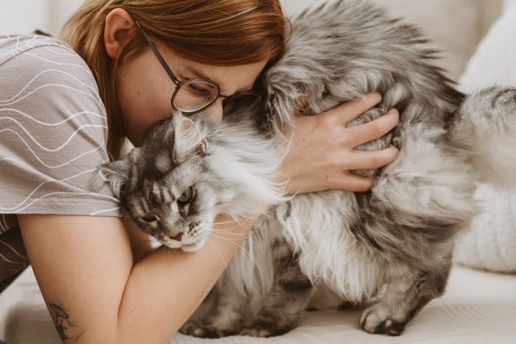 Tierfotografie Braunschweig